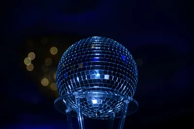 DSC_5974 (Large).JPG